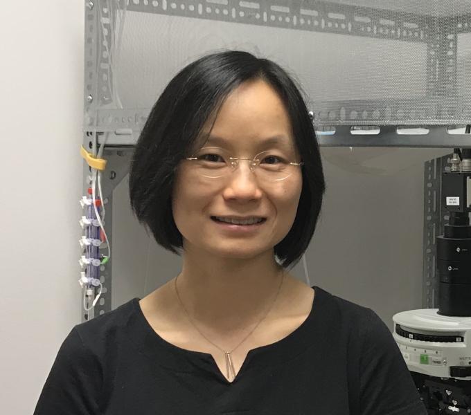 Yanhua Huang, PhD